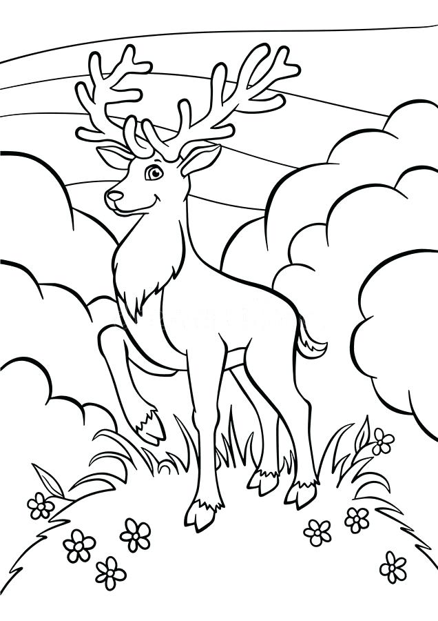 636x900 Deer Coloring Pages Download Coloring Pages Animals Little Cute