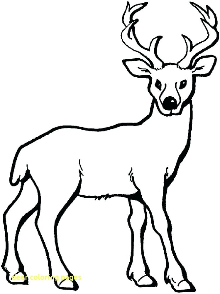 750x1000 Deer Coloring Pages Printable Family Deer Coloring Pages White