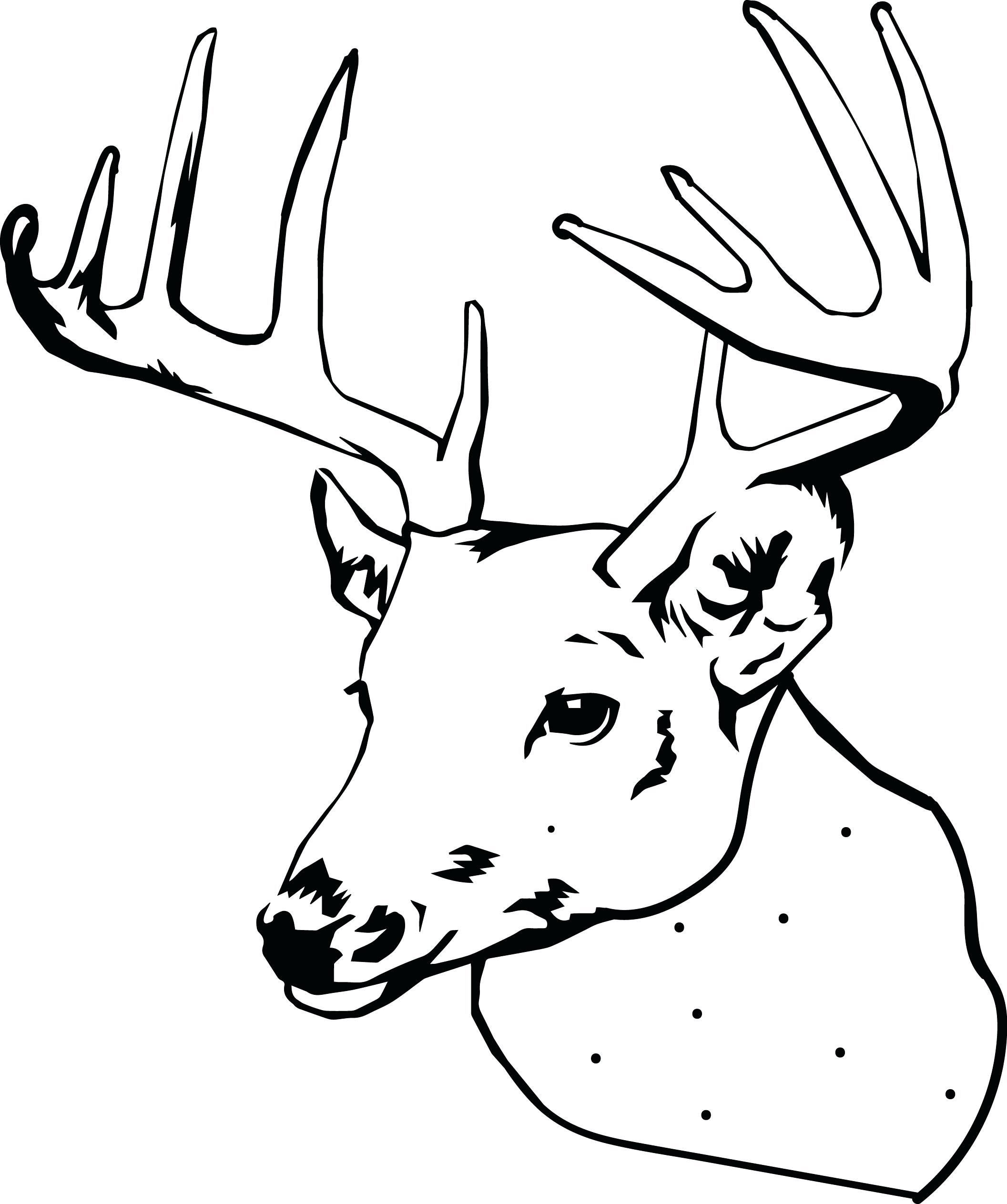2113x2527 Inspiration Coloring Pages Deer Coloring Pages Funny Cartoon Baby