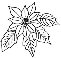 236x224 Flowers Coloring Pages Printable Flower Coloring Pages