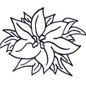 300x300 Happy New Year Poinsettia Coloring Page Color Luna
