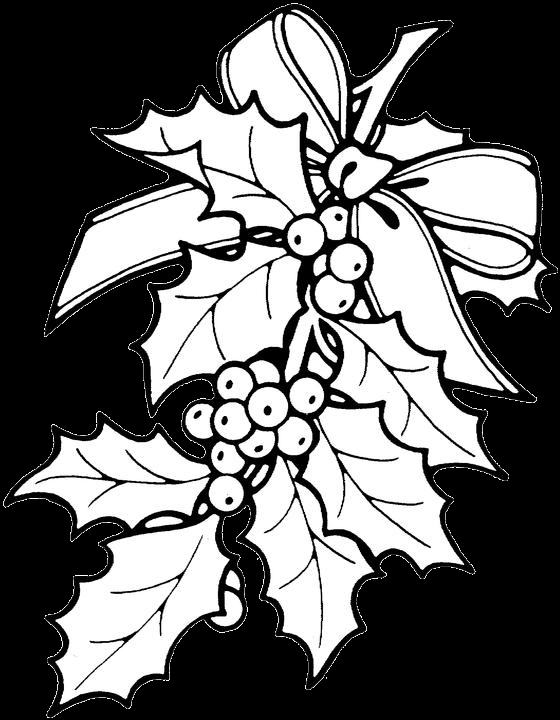 560x720 Xmas Coloring Pages Inspirational Free Christmas Flower Color