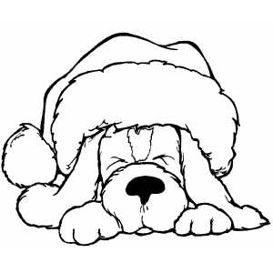 300x300 Sleeping Dog In Santa Hat Coloring Page