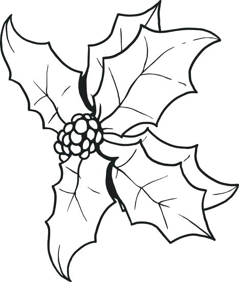 467x550 Holly Coloring Page Classy Palm Tree Coloring Page Crayola Photo