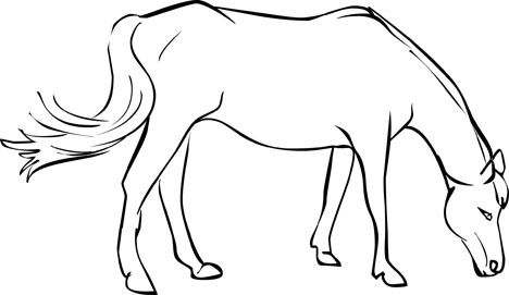468x271 Free Horse Coloring Pages Pixels