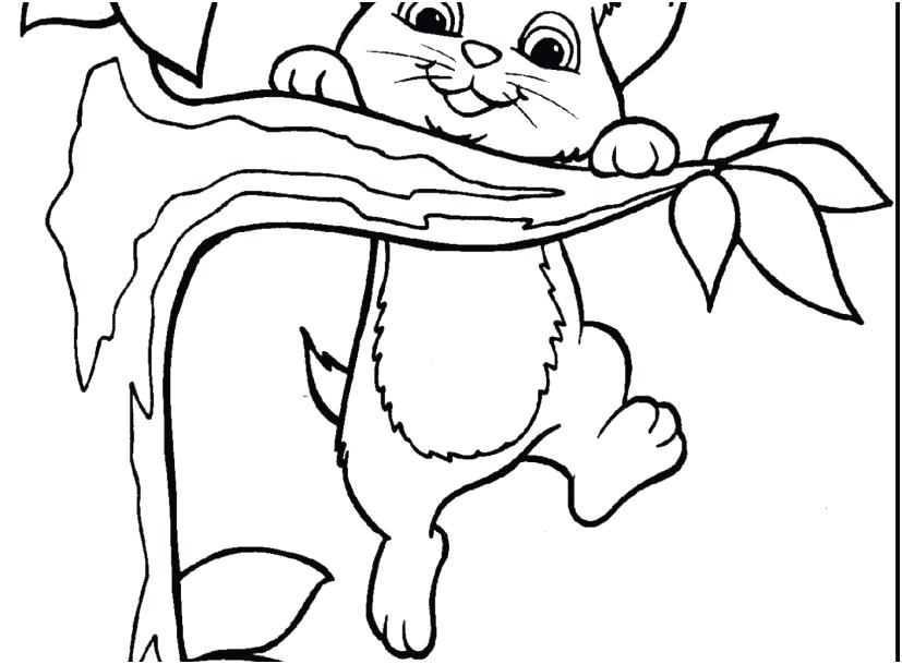 827x609 Kittens Coloring Page