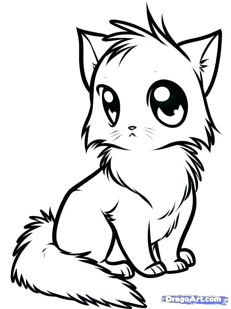 736x984 Kittens Coloring Pages