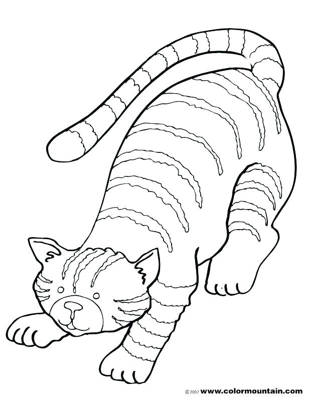 618x800 Christmas Cat Coloring Pages