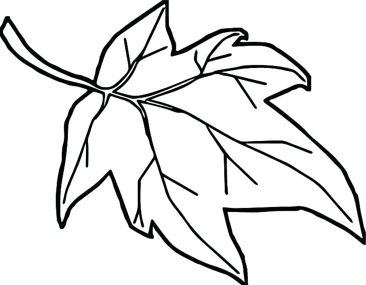 728x566 Christmas Holly Coloring Pages