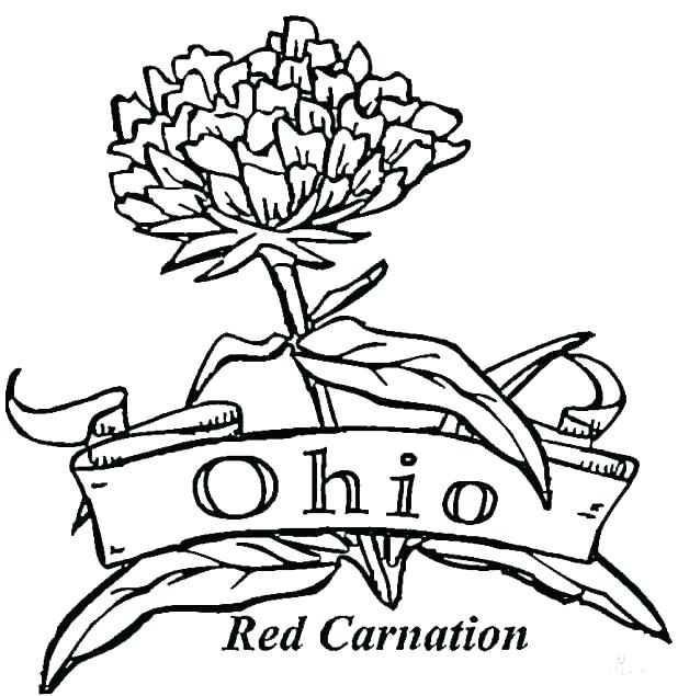 618x635 Mistletoe Coloring Pages Instruments Coloring Pages Marching Band