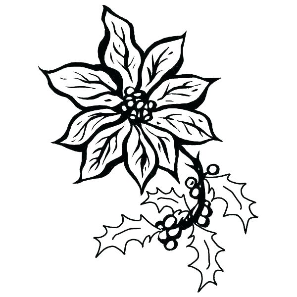 600x600 Mistletoe Coloring Pages