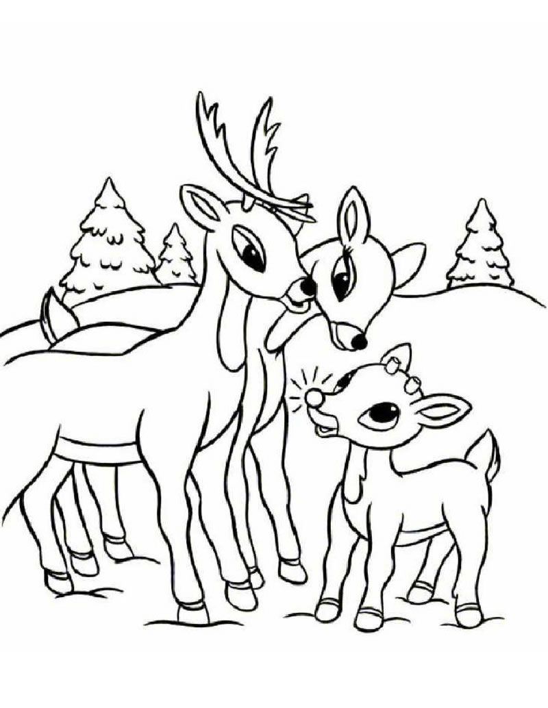 800x1034 Rudolph Family Coloring Page Christmas Coloring Pagesworksheets
