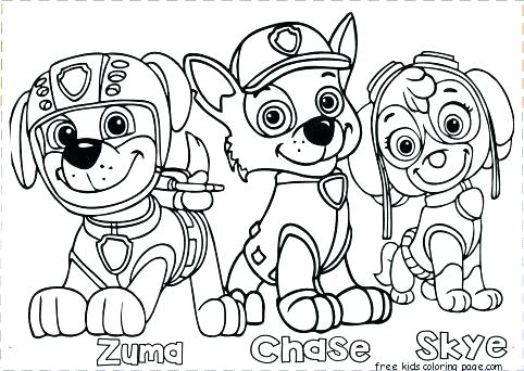 482x342 Paw Patrol Free Printable Coloring Pages Paw Patrol Coloring Pages