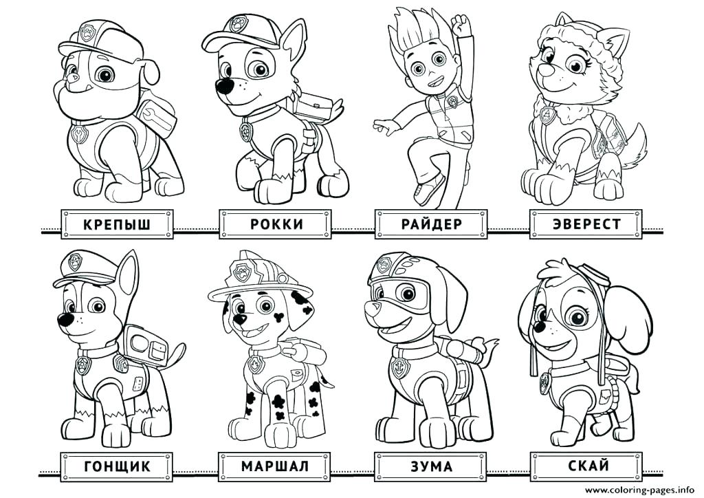 1024x724 Free Paw Patrol Coloring Pages Paw Patrol Coloring Pages Awesome