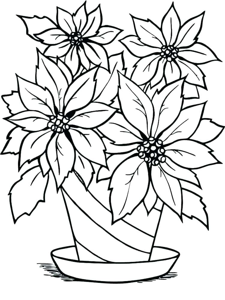 750x1000 Poinsettia Coloring Pages Leaf Coloring Sheet Poinsettia Coloring