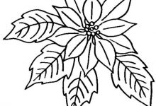 220x150 Attractive Ideas Poinsettia Coloring Pages Book Of Flower