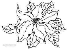236x171 Poinsettia Coloring Page