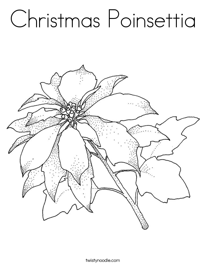 685x886 Christmas Poinsettia Coloring Page