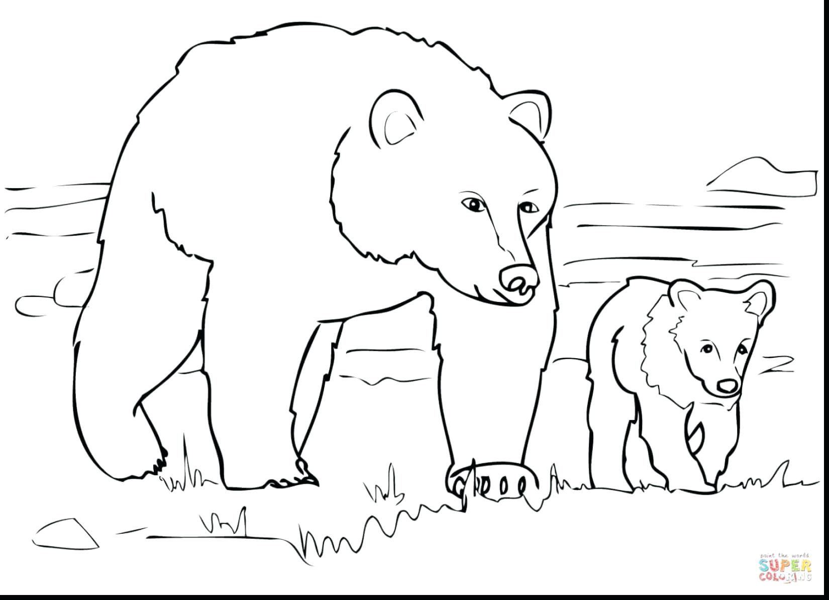 1650x1196 How To Draw Polar Bear Coloring Page Pages Thanksgiving Food