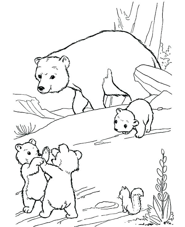 600x734 Polar Bear Coloring Pages Polar Bear Coloring Sheets Polar Bear