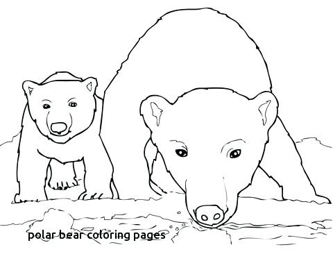 480x389 Coloring Polar Bear Coloring Page Pages Free Printables Polar