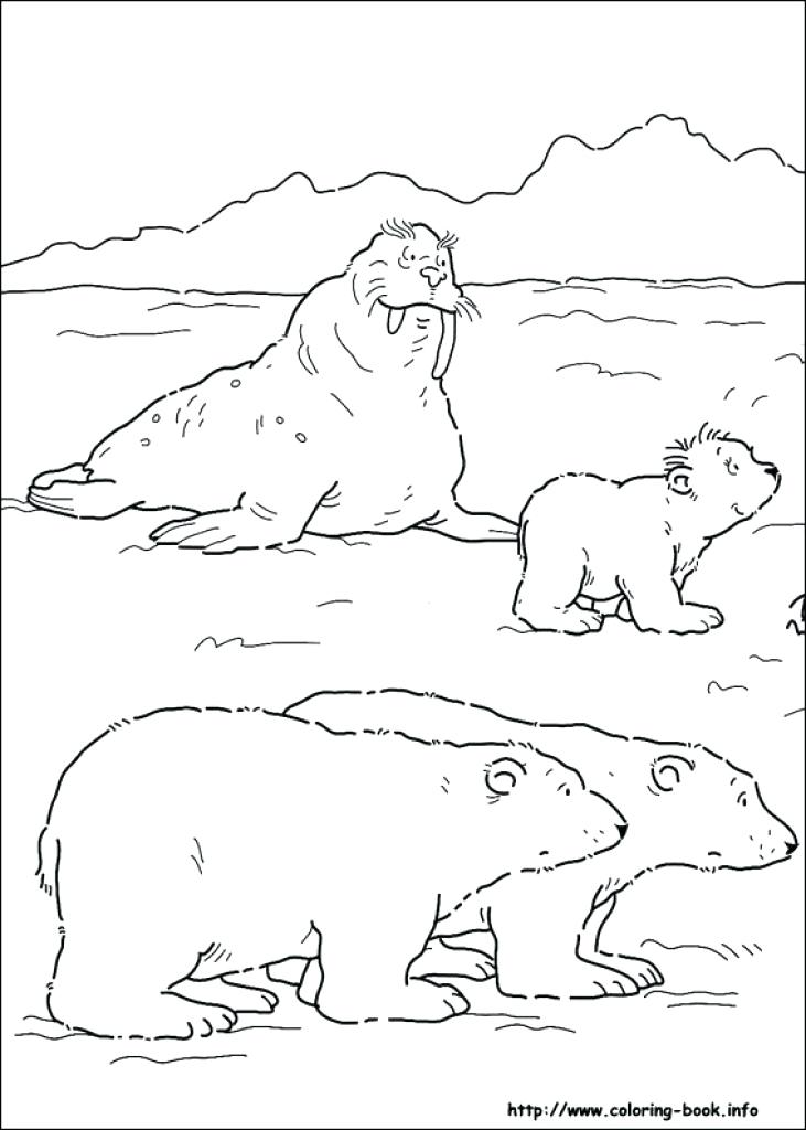 731x1024 Christmas Polar Bear Coloring Pages Sheet Winter Best Coloring