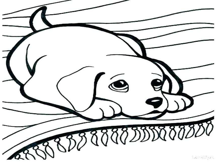 863x647 Puppy Coloring Pages To Print Out Puppy Coloring Pages To Print