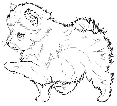 480x435 Puppy Coloring Pages To Print Out