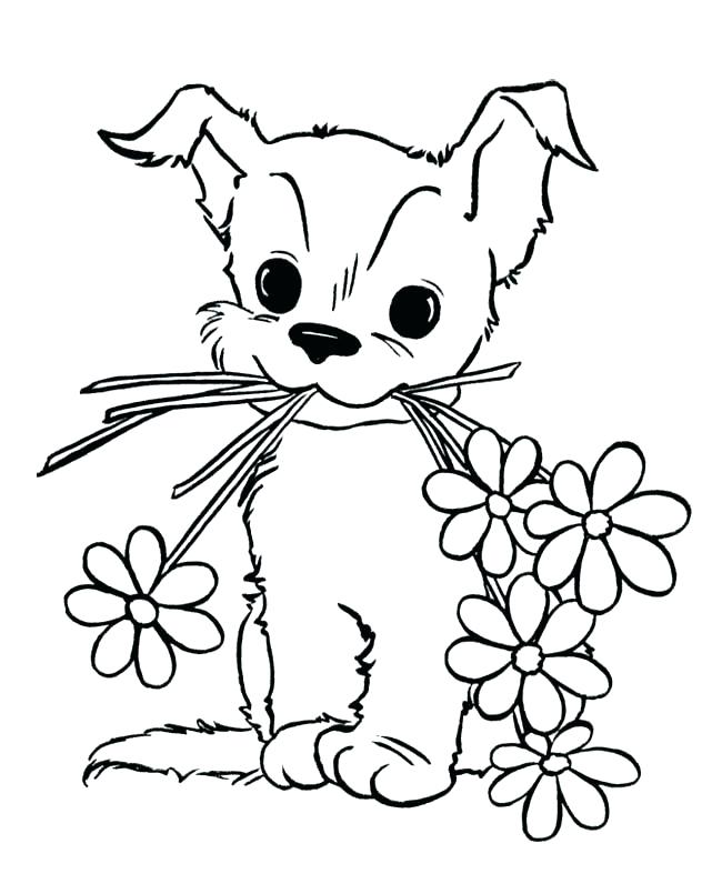 650x796 Christmas Husky Puppy Coloring Pages Kitten And Puppy Coloring