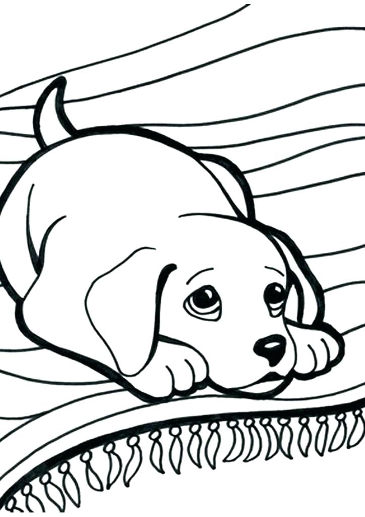 724x1024 Puppies Coloring Page Coloring Page Of A Puppy Coloring Pages