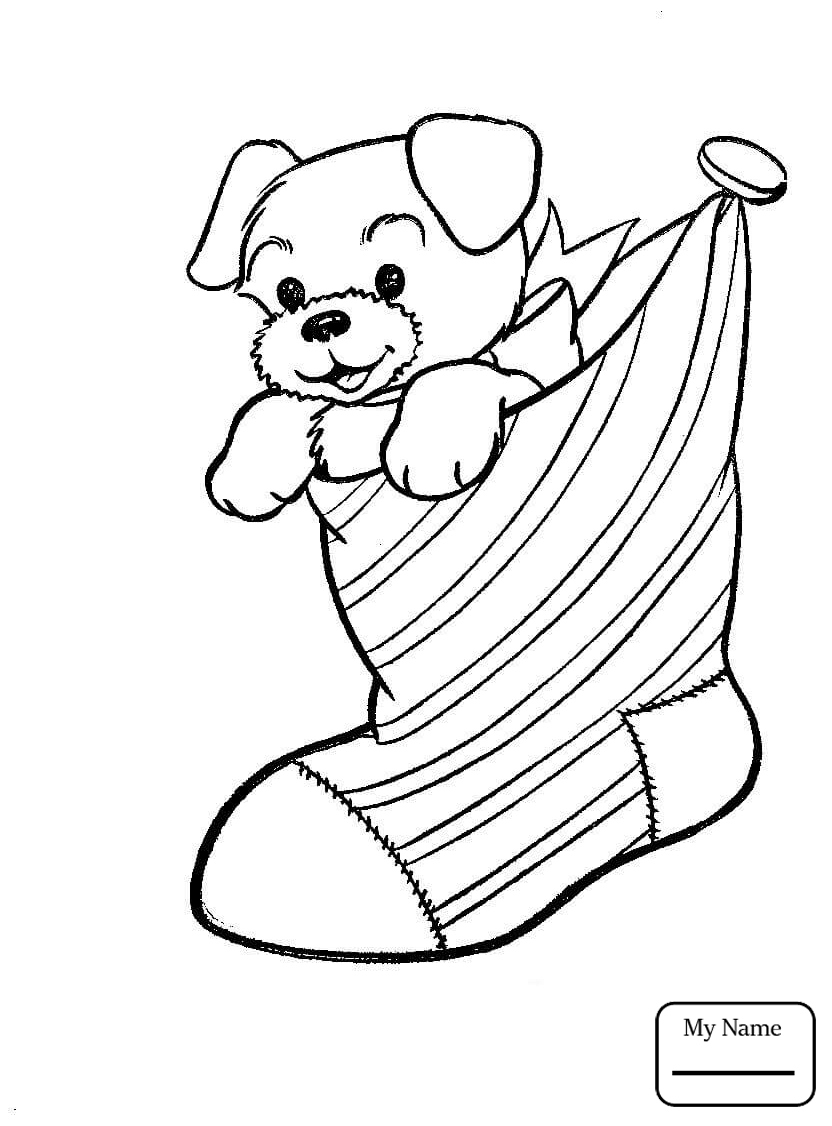 832x1126 Best Of Puppy Coloring Page With Princess Puppy Coloring Pages