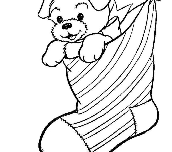 678x600 A Puppy Dog In A Christmas Stocking Coloring