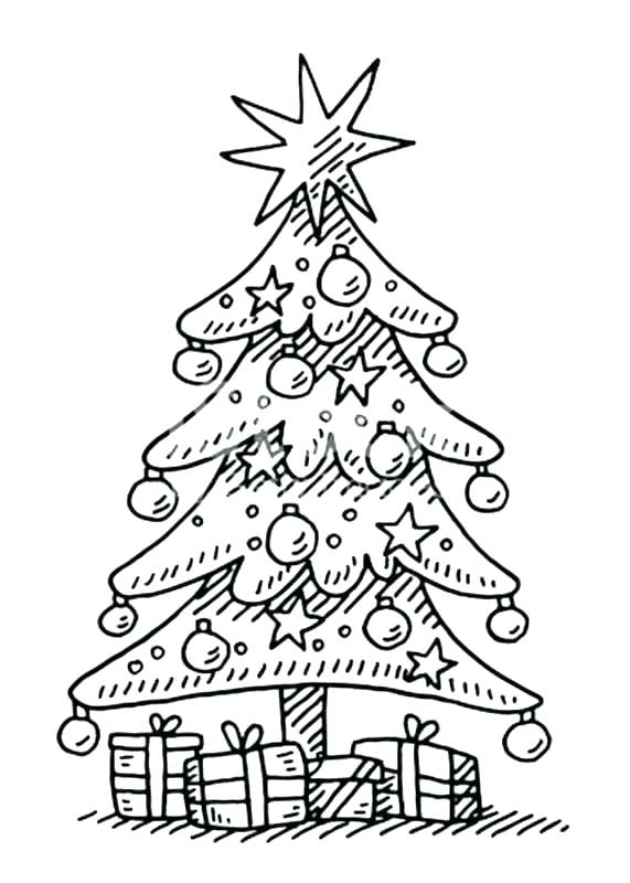 571x800 Printable Tree Coloring Pages