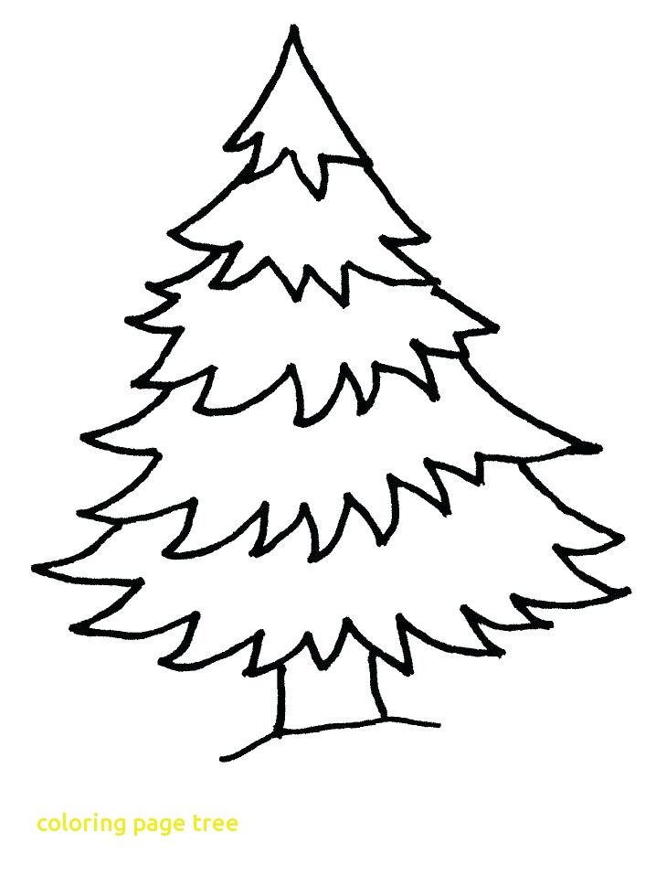 718x957 Coloring Page Tree With Coloring Page Christmas Tree Tree Coloring
