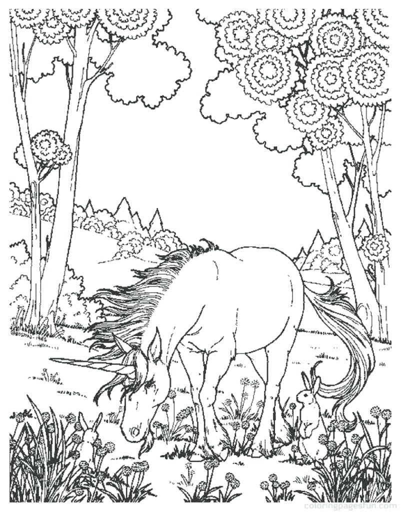 802x1024 Difficult And Hard Coloring Page Of Realistic Unicorn Mandala