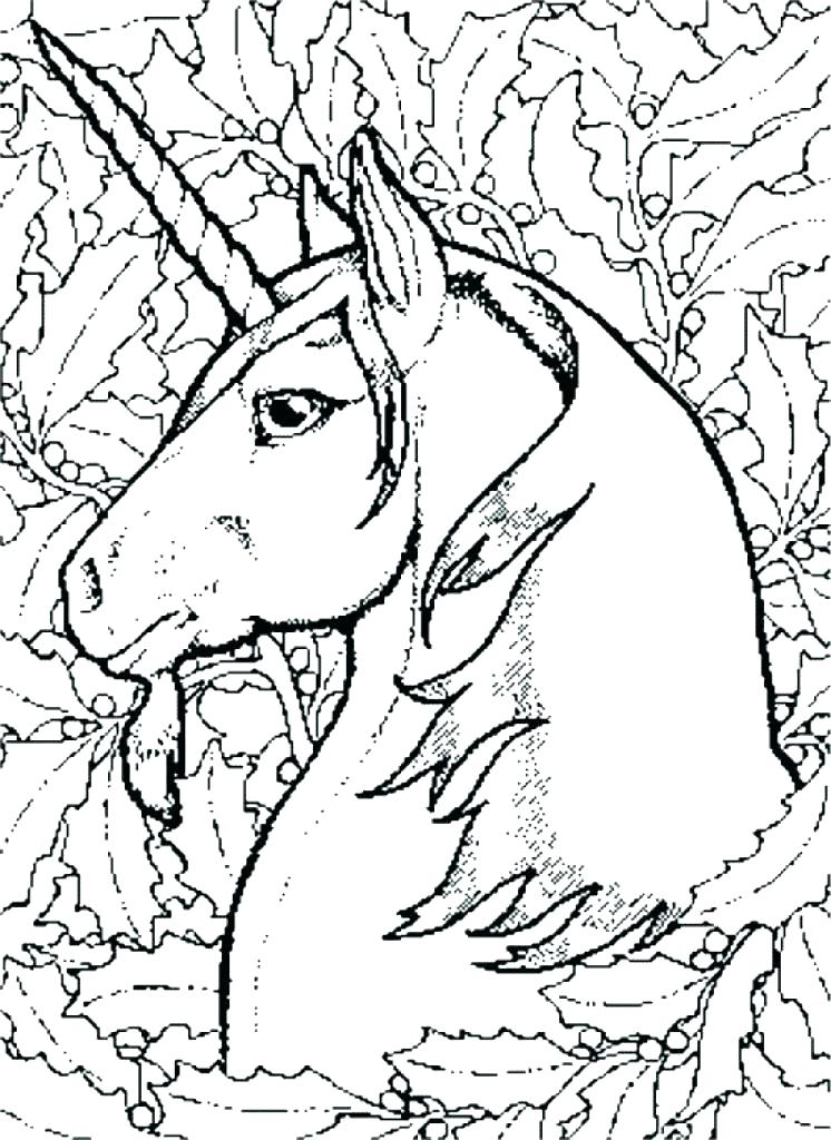 746x1024 Hard Unicorn Coloring Pages Full Size Of Pictures Of Baby Fox