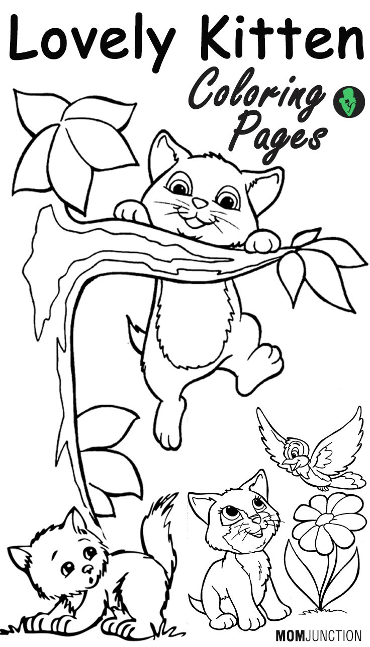 736x1284 Top Free Printable Kitten Coloring Pages Online Adult