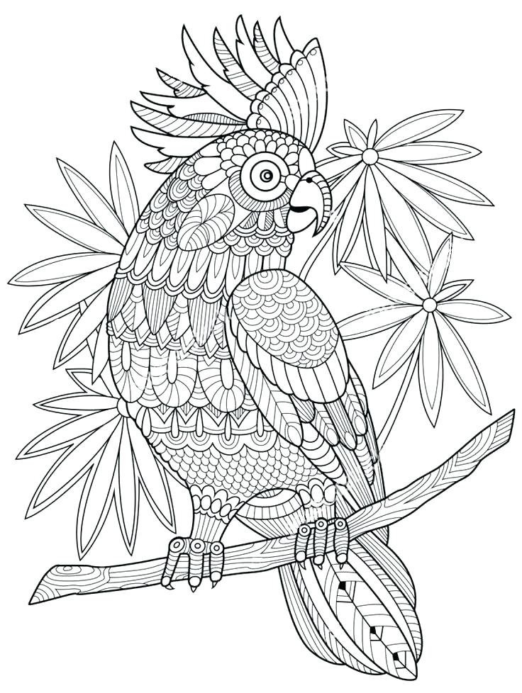 736x978 Zentangle Printable Coloring Pages Free Coloring Pages Download