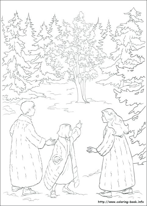482x675 Narnia Coloring Pages Coloring Pages The Chronicles Of Coloring