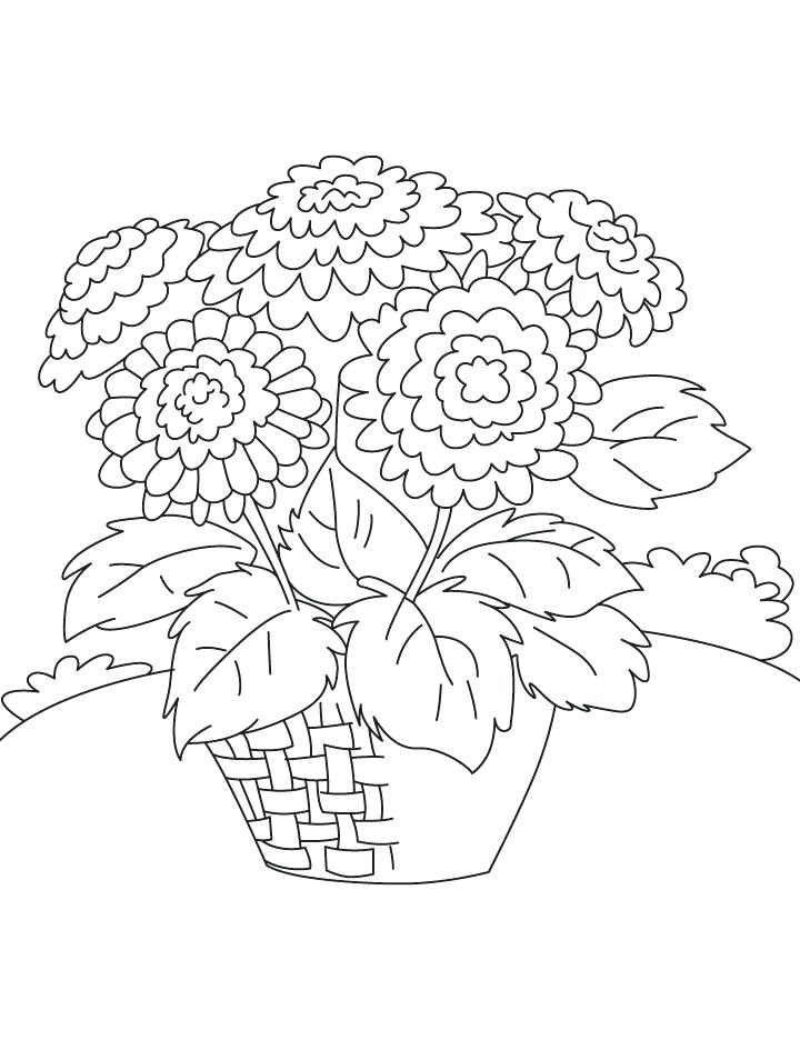 720x936 Chrysanthemum Coloring Pages Download Chrysanthemum Coloring Page