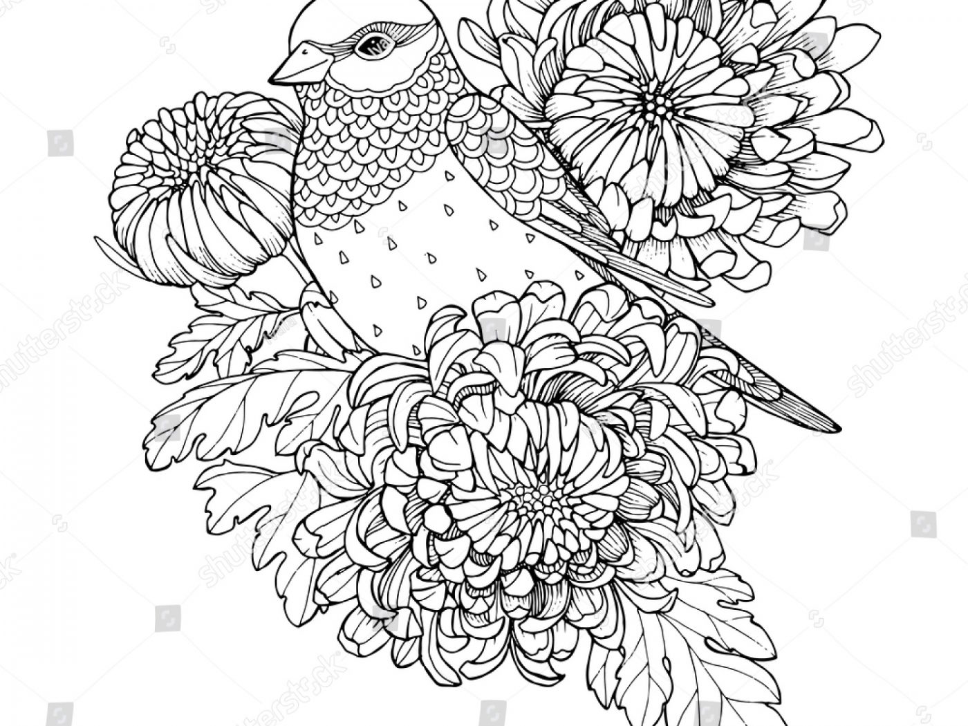 1400x1050 Flowers Chrysanthemums Download And Coloring Flower Chrysanthemum