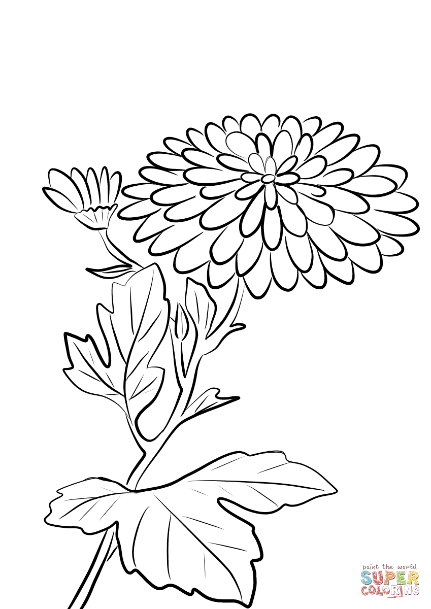 849x1200 Love Chrysanthemum Coloring Page Pages Lovely