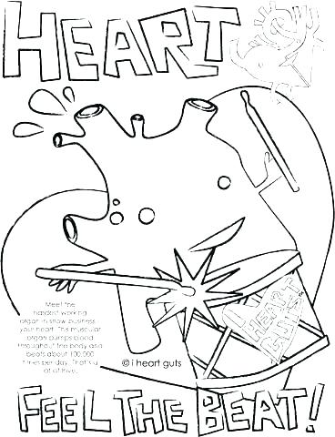 368x480 Respiratory System Coloring Page Circulatory System Coloring