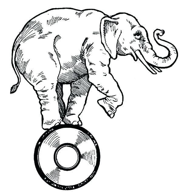 600x642 Circus Elephant Coloring Page Circus Coloring Pages Drawing Circus
