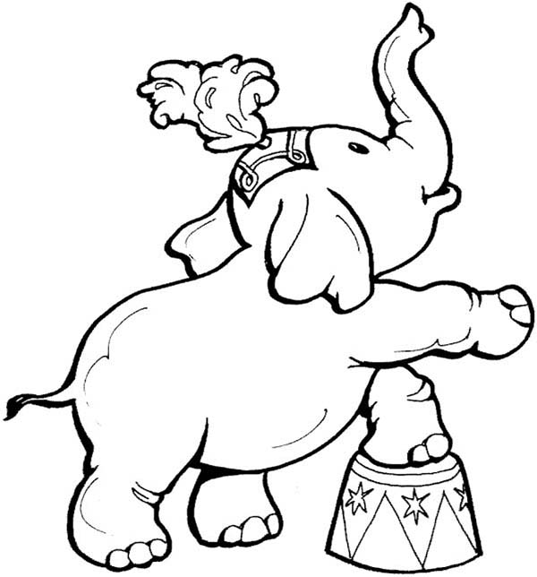 600x644 Circus Elephant Coloring Pages