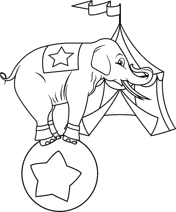 600x721 Circus Themed Coloring Pages Circus Coloring Page Fresh Elephant