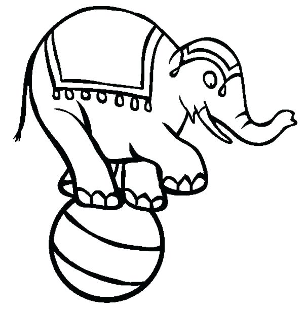 600x612 Coloring Pages Elephant Circus Elephant Coloring Pages For Kids