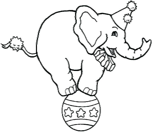 600x519 Elephants Coloring Pages And Elephant Coloring Pages Elephant