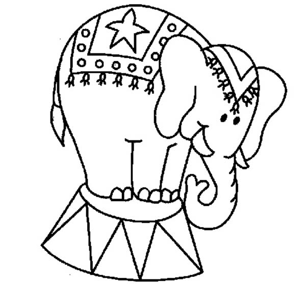 600x558 Performing Circus Elephant Coloring Pages Best Place To Color