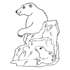230x230 Top Free Printable Seal Coloring Pages For Toddlers